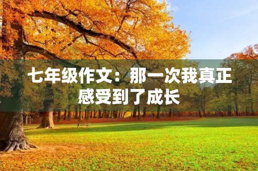 七年级作文:那一次我真正感受到了成长 七年级作文:那一次我真正感受到了成长