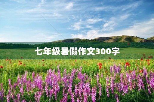 七年级暑假作文300字 七年级暑假作文300字