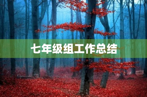 七年级组工作总结 七年级组工作总结
