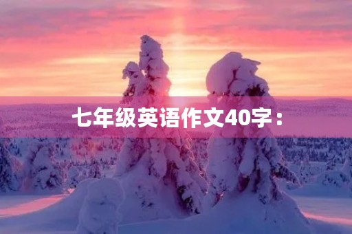 七年级英语作文40字：