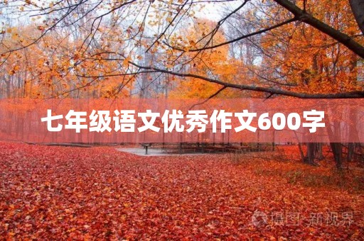 七年级语文优秀作文600字 七年级语文优秀作文600字