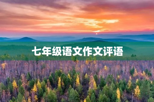 七年级语文作文评语 七年级语文作文评语
