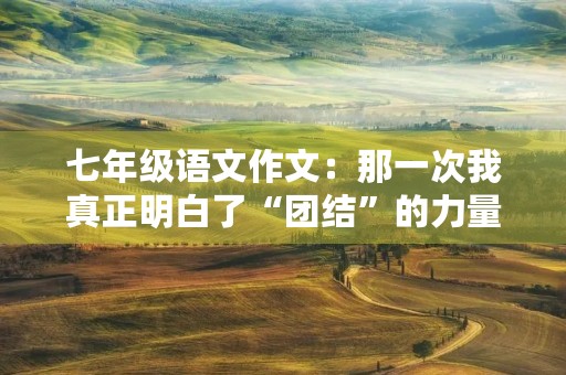七年级语文作文：那一次我真正明白了“团结”的力量
