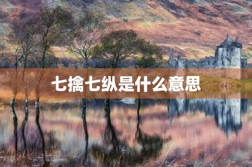 七擒七纵是什么意思