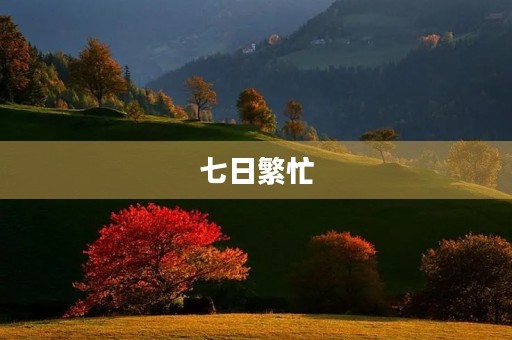 七日繁忙,一周总结 七日繁忙,一周总结
