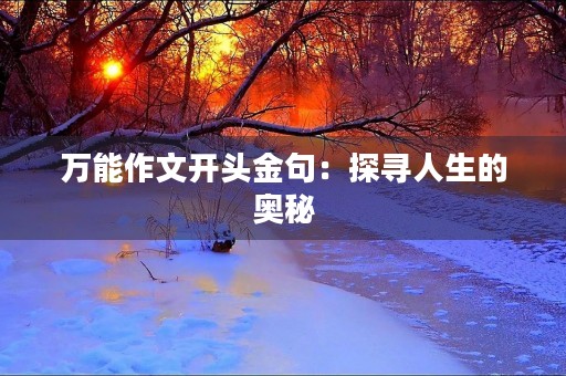 万能作文开头金句：探寻人生的奥秘