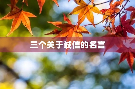 三个关于诚信的名言,三个关于诚信的名言名句 三个关于诚信的名言,三个关于诚信的名言名句