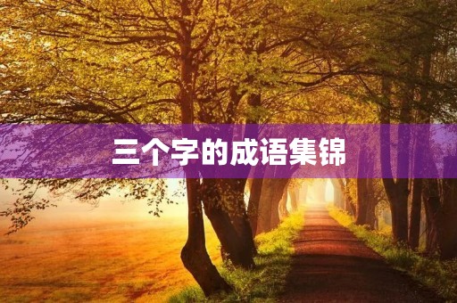三个字的成语集锦