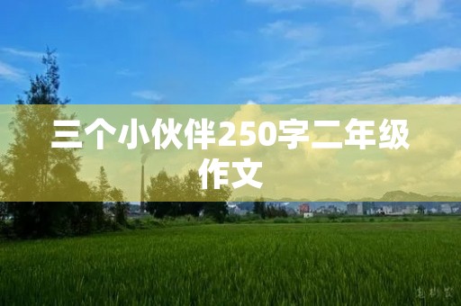 三个小伙伴250字二年级作文