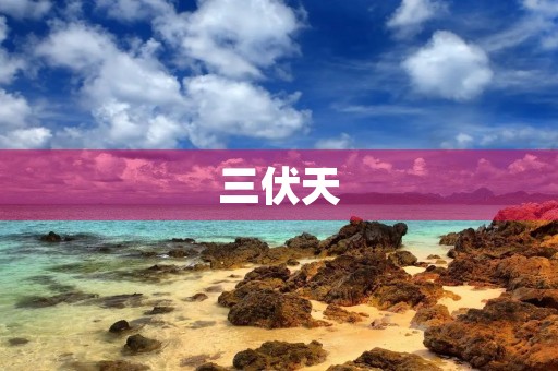 三伏天 三伏天