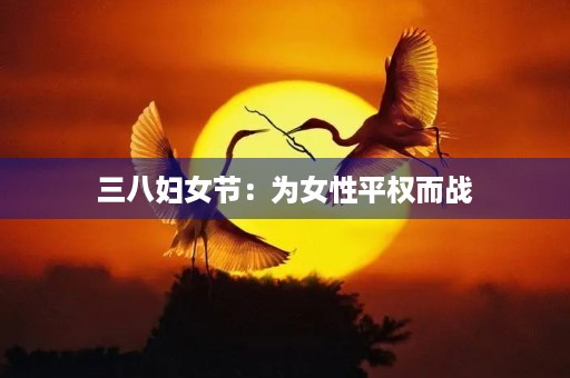 三八妇女节：为女性平权而战
