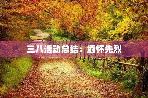 三八活动总结：缅怀先烈，弘扬女性力量