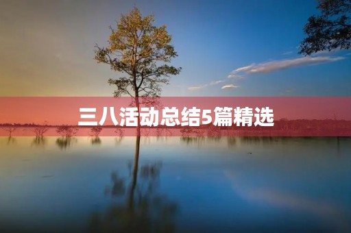 三八活动总结5篇精选