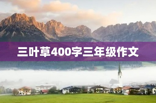 三叶草400字三年级作文