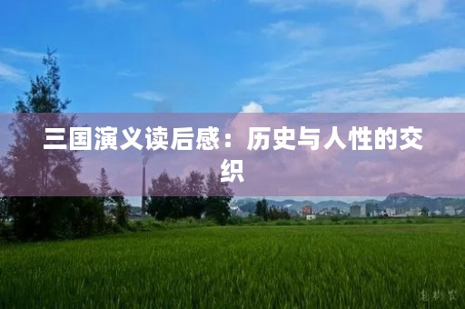 三国演义读后感：历史与人性的交织