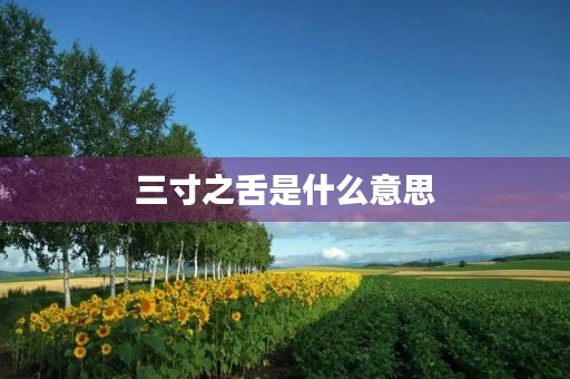 三寸之舌是什么意思