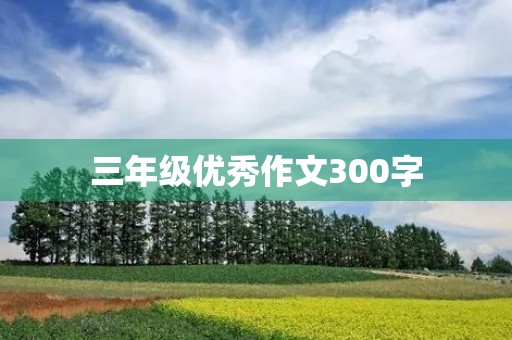 三年级优秀作文300字 三年级优秀作文300字