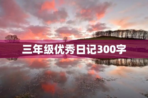三年级优秀日记300字 三年级优秀日记300字