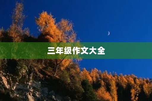 三年级作文大全 三年级作文大全