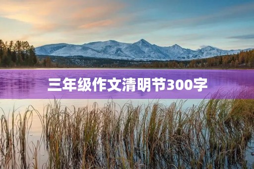 三年级作文清明节300字 三年级作文清明节300字