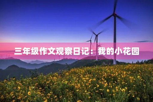 三年级作文观察日记：我的小花园