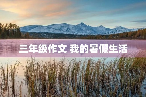 三年级作文 我的暑假生活 三年级作文 我的暑假生活