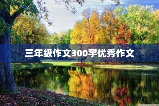 三年级作文300字优秀作文
