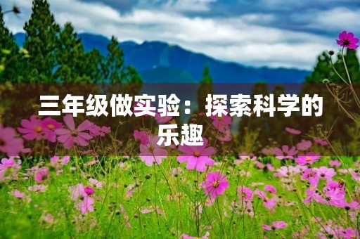 三年级做实验：探索科学的乐趣