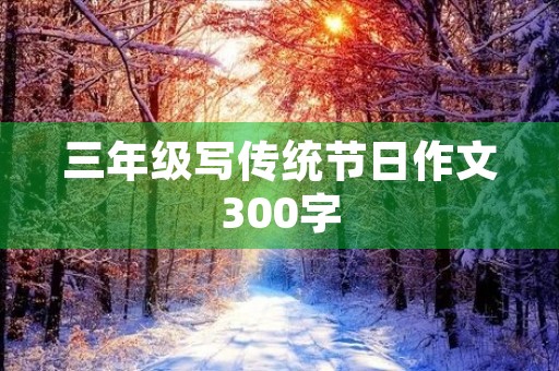三年级写传统节日作文300字