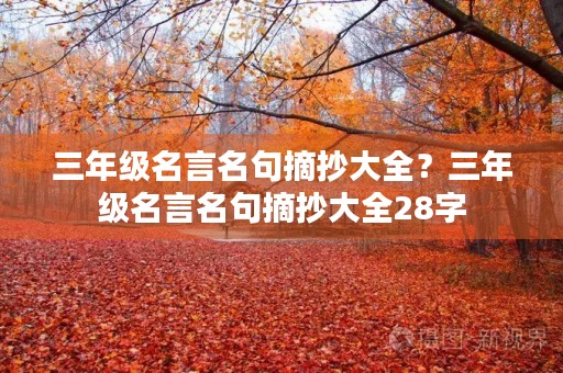 三年级名言名句摘抄大全?三年级名言名句摘抄大全28字 三年级名言名句摘抄大全?三年级名言名句摘抄大全28字