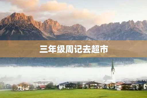 三年级周记去超市