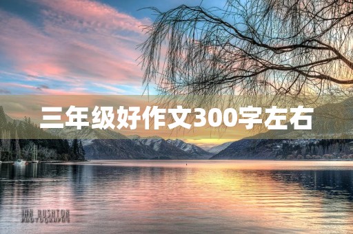 三年级好作文300字左右,帮父母捶捶背 三年级好作文300字左右,帮父母捶捶背