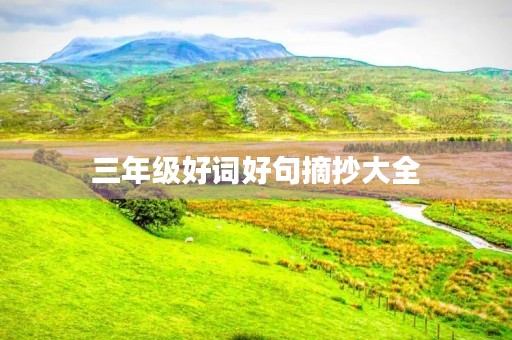 三年级好词好句摘抄大全(三年级好词好句摘抄大全带书名) 三年级好词好句摘抄大全(三年级好词好句摘抄大全带书名)