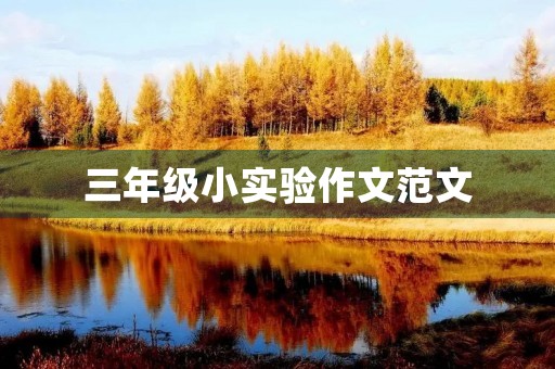 三年级小实验作文范文 三年级小实验作文范文