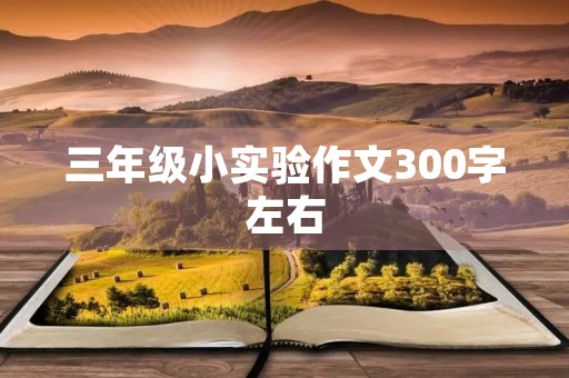 三年级小实验作文300字左右 三年级小实验作文300字左右