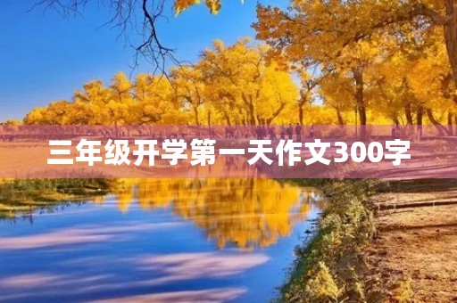 三年级开学第一天作文300字