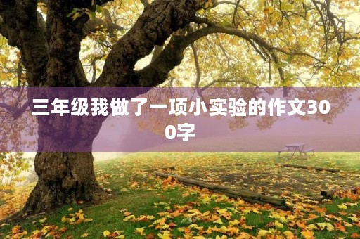三年级我做了一项小实验的作文300字 三年级我做了一项小实验的作文300字