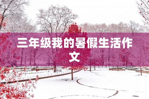 三年级我的暑假生活作文