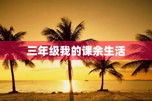 三年级我的课余生活