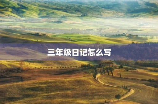 三年级日记怎么写 三年级日记怎么写