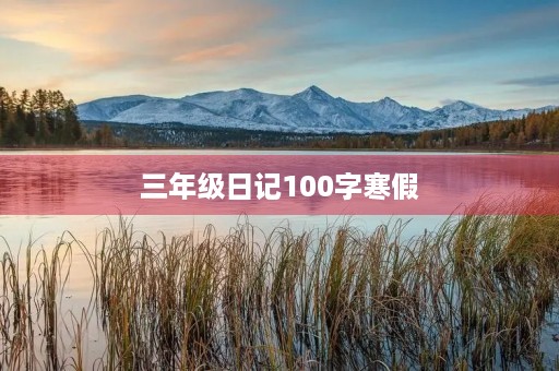 三年级日记100字寒假 三年级日记100字寒假