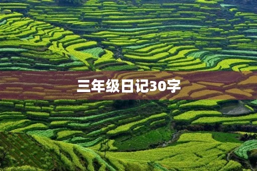 三年级日记30字 三年级日记30字