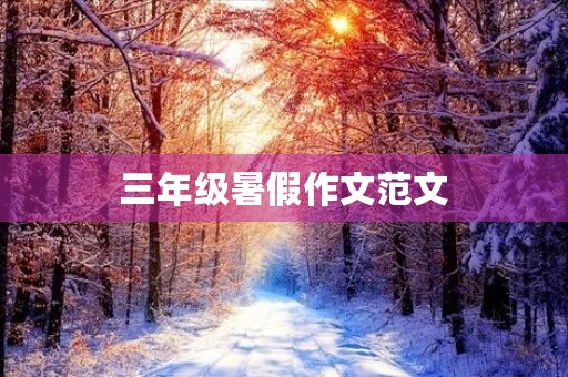 三年级暑假作文范文