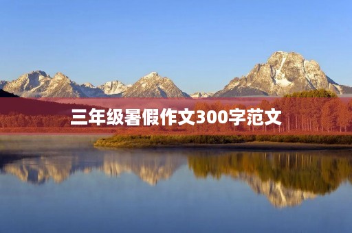 三年级暑假作文300字范文