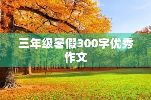 三年级暑假300字优秀作文 三年级暑假300字优秀作文