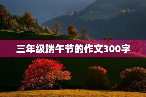 三年级端午节的作文300字 三年级端午节的作文300字