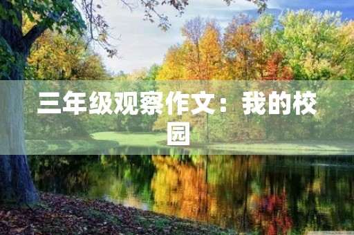 三年级观察作文:我的校园 三年级观察作文:我的校园