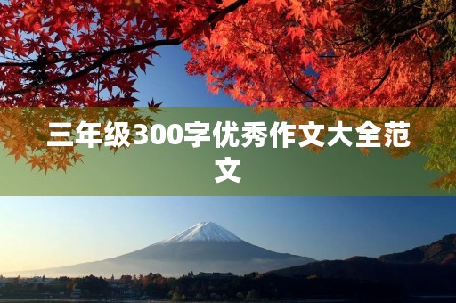 三年级300字优秀作文大全范文