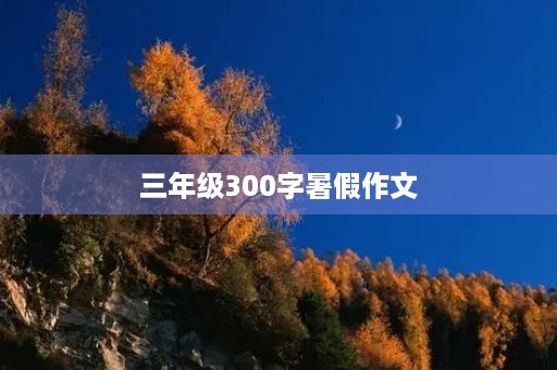 三年级300字暑假作文 三年级300字暑假作文