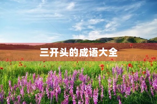 三开头的成语大全